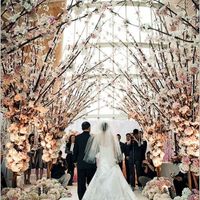 If money was not object, what would your bouquet/flowers look like?