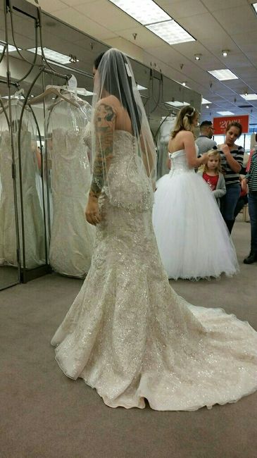 Survey: wedding dresses