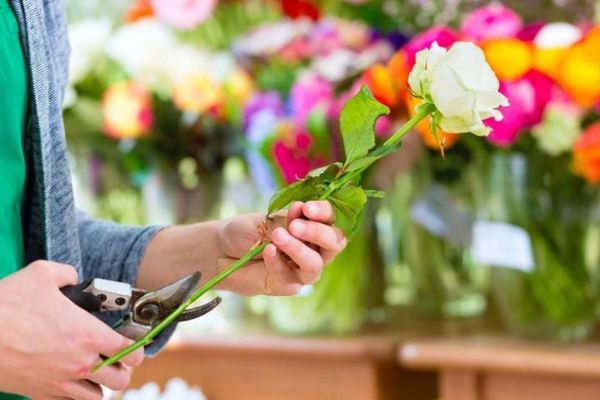 How long to keep a wedding bouquet - 2