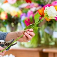 How long to keep a wedding bouquet - 2