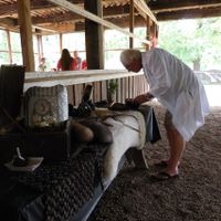 Renaissance Fair themed wedding DIY