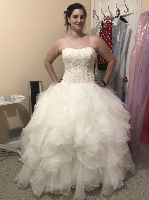 First Dress Fitting