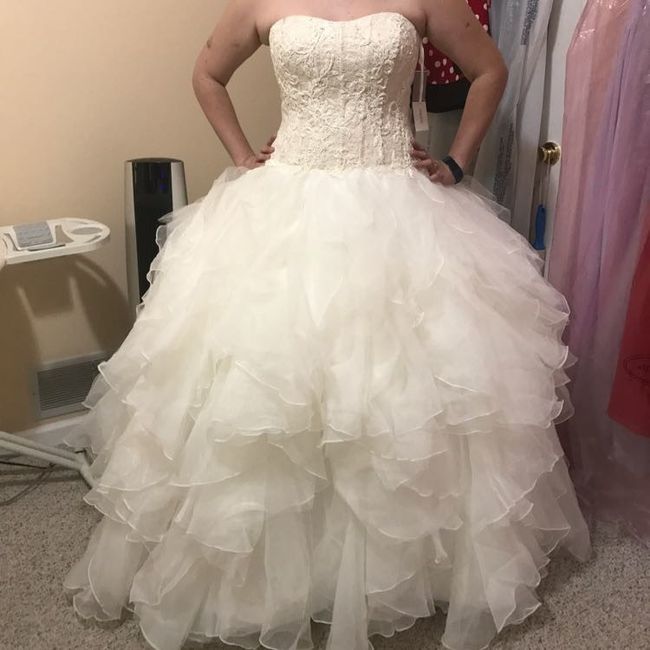 Do I Say Yes to the Discontinued Dress?