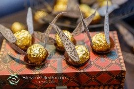 Harry Potter Themed Wedding 18