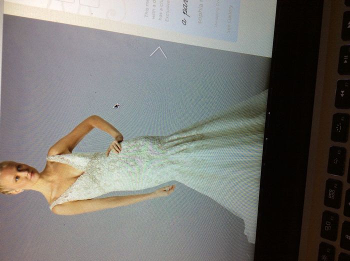 Cathedral veil....hair up or down? I need advice asap....trial on Saturday!
