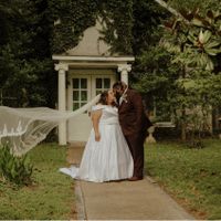 Veils or no veils? - 1