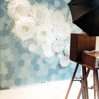 Seattle giant flowers backdrop