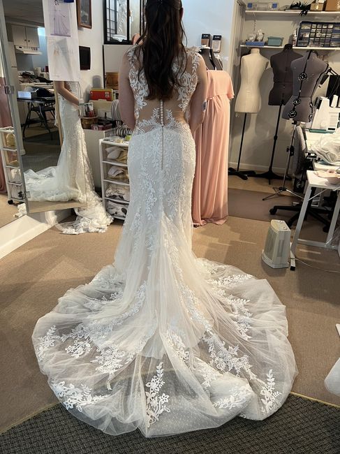 Wedding dress train 2