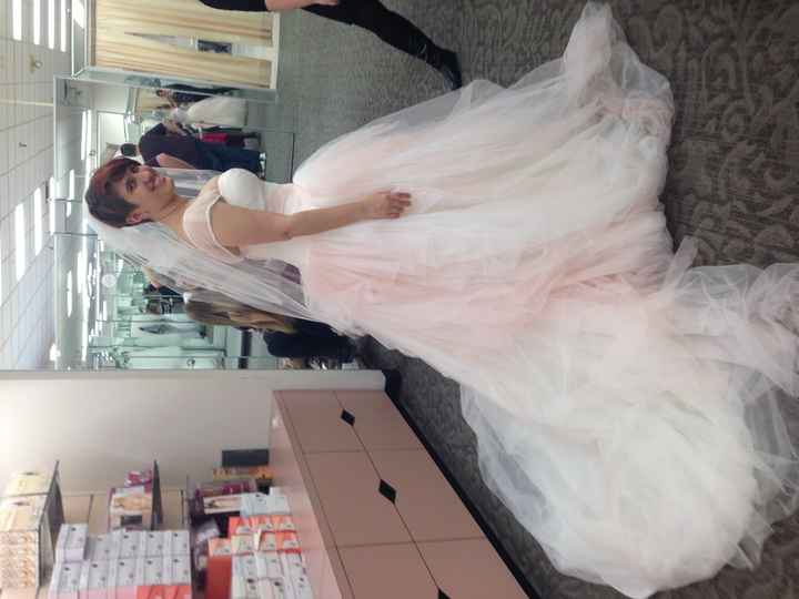 Confused! Please help+