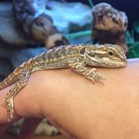 NWR feeling down: send happy pictures