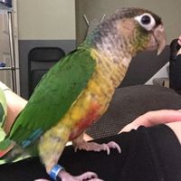 NWR- just wanted to share my excitement