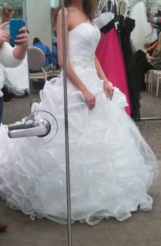 Anyone have there wedding dress picked out? Pics?