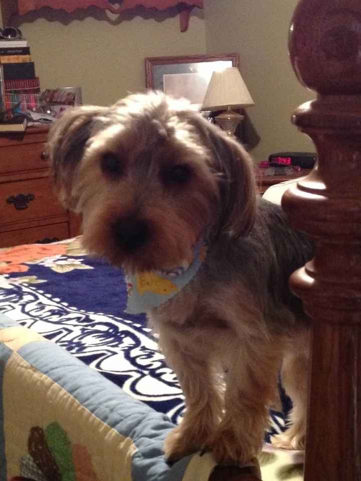 Just for fun, lets see your crazy pet child....