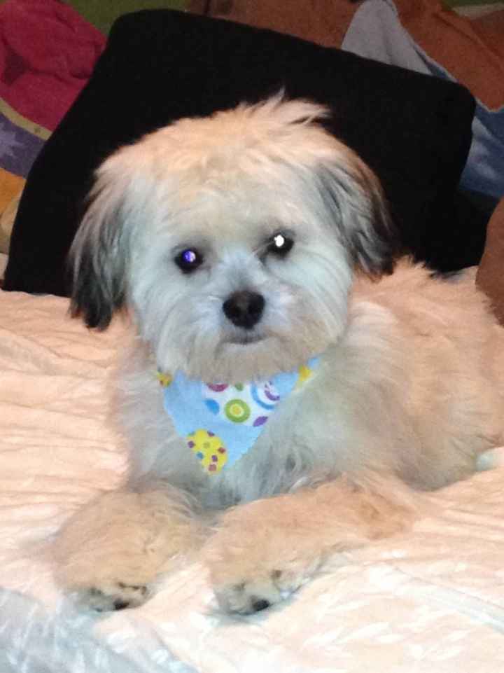 Just for fun, lets see your crazy pet child....