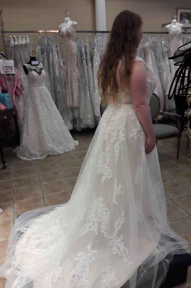 Veil help! And also... - 1