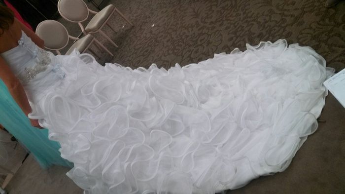 Anyone have there wedding dress picked out? Pics?