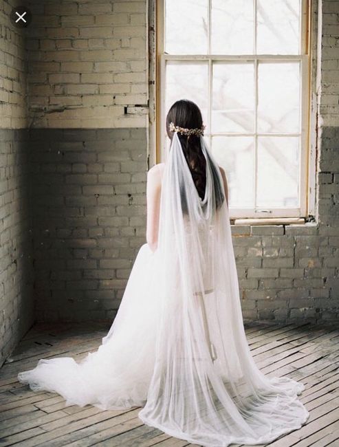 Veil help! And also... - 1