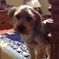 Just for fun, lets see your crazy pet child....