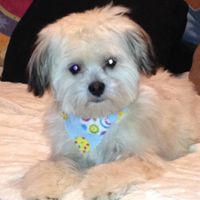 Just for fun, lets see your crazy pet child....