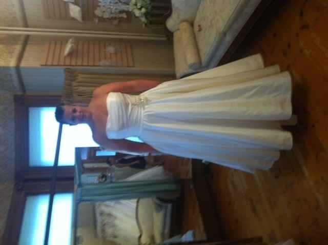 Chasing the Unicorn... Dress that is