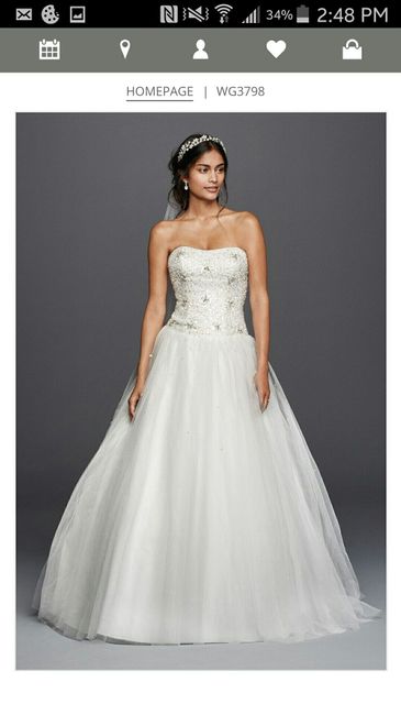 Bustle vs no bustle question.