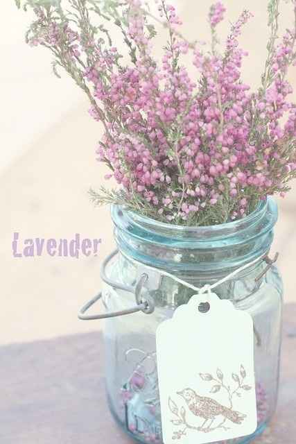 DIY Ideas for a Summer Backyard Reception! On a budget!! but want it to be nice!! Desert/Utah Nature