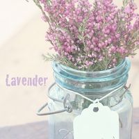 DIY Ideas for a Summer Backyard Reception! On a budget!! but want it to be nice!! Desert/Utah Nature