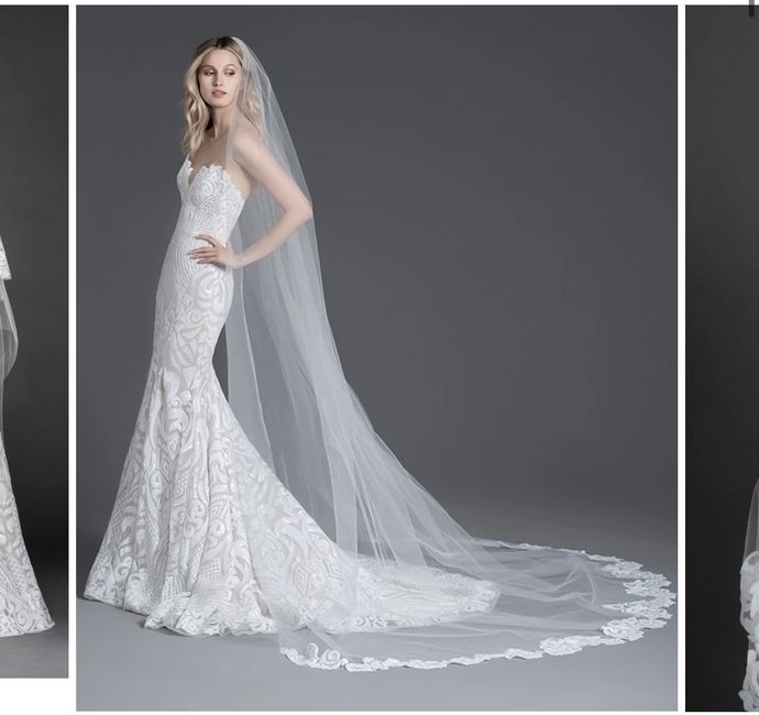 Iso: Hayley Paige Marrakesh Sequin Veil - 1