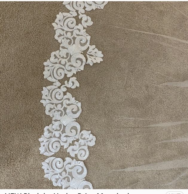Iso: Hayley Paige Marrakesh Sequin Veil - 2