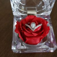 Brides of 2020!  Show us your ring! - 1