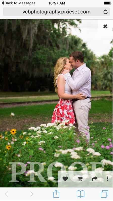 Engagement Pics are in!