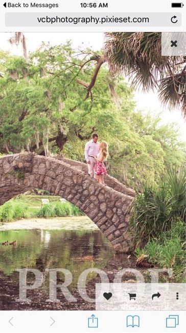 Engagement Pics are in!