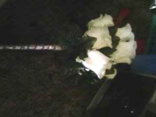 My first wedding DIY (pics included)