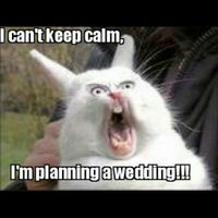 Wedding Memes