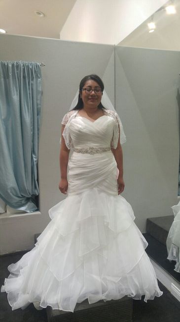 Dress size 14 - Street Size 12. Dress pics??