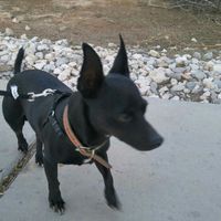 Show me your fur babies!