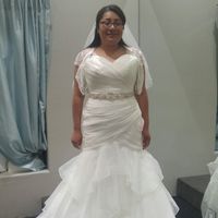 Dress size 14 - Street Size 12. Dress pics??
