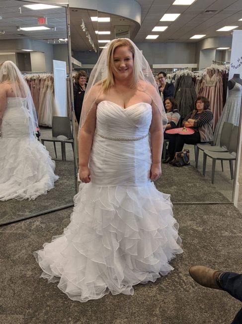 Curvy brides! Let me see your dress! 8