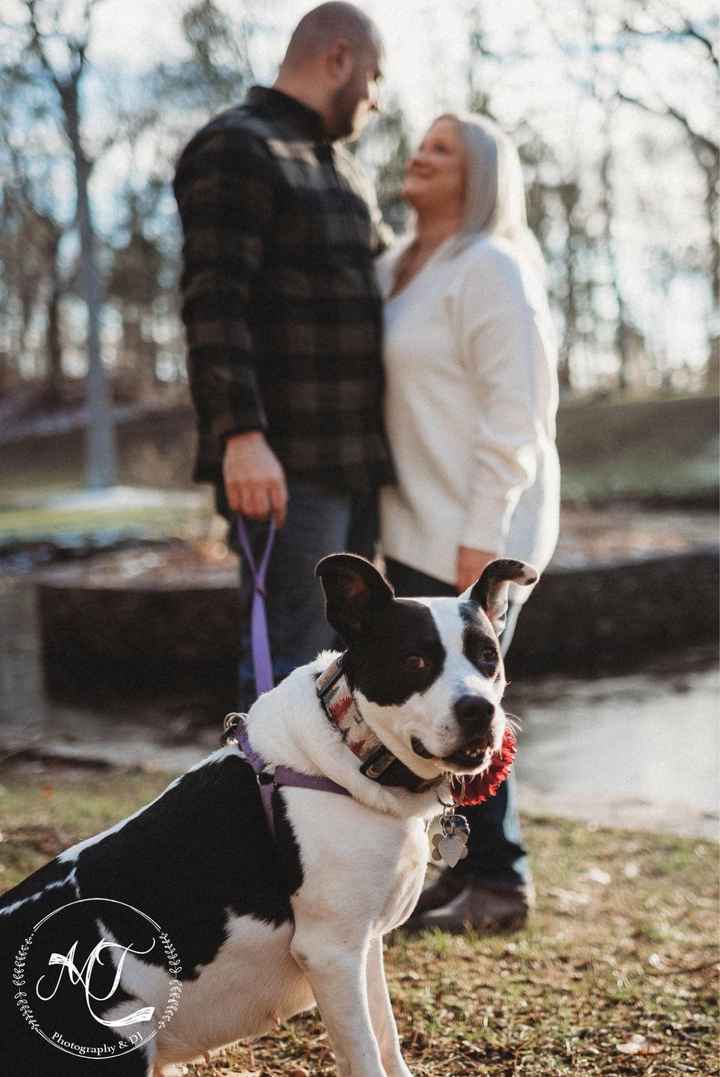 Engagement Shoot - 3