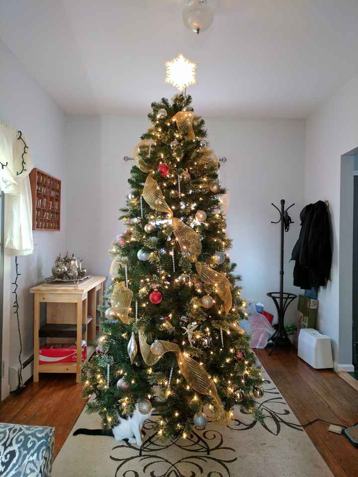 NWR: Christmas Tree