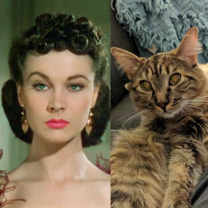 NWR: Pet Owners...Can we play a fun game? :D