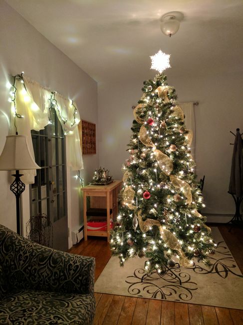 NWR-show me your Xmas trees