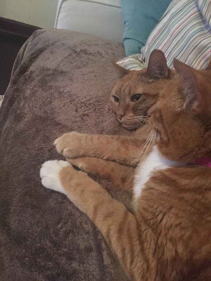 I just want to whine.