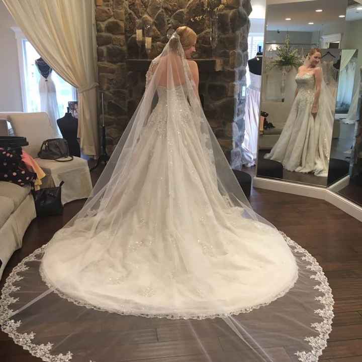 Let me see your veil