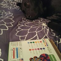 Dfw, TX Venue to allow dogs