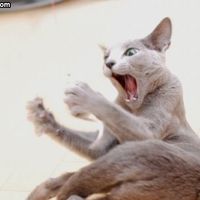 This is for Mrs S. (from Kev)