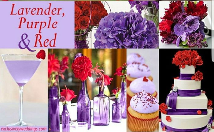 Help me choose please