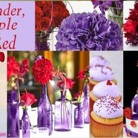 Help me choose please