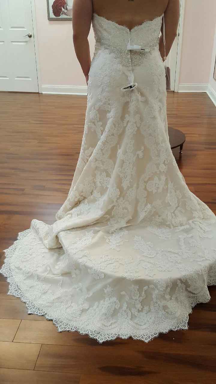 Opininions wanted for wedding dress