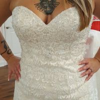 Opininions wanted for wedding dress